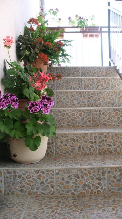KrkaHaus Hotel Lozovac Bagian luar foto